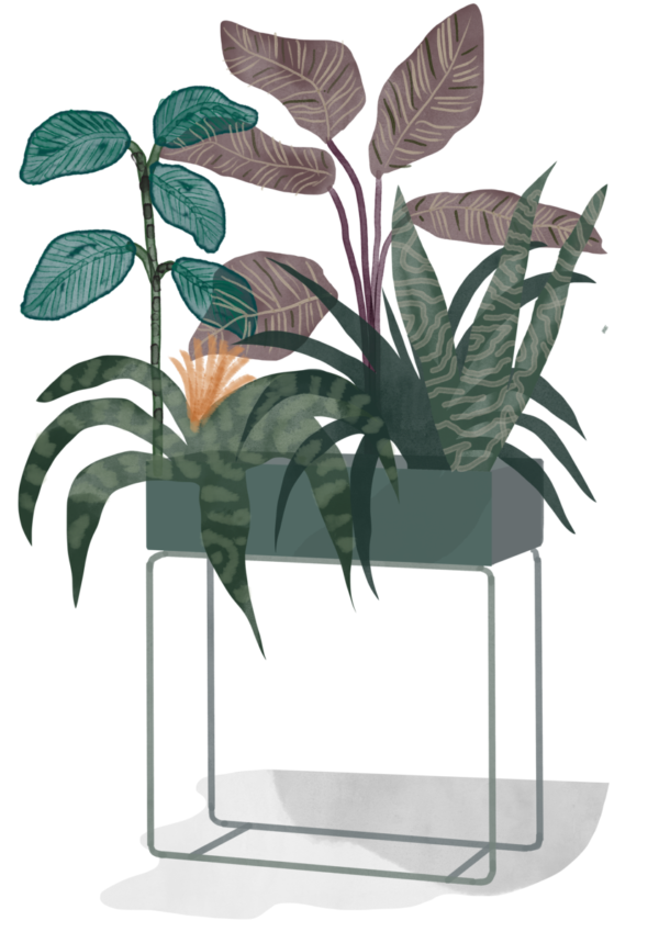 Plant box (Ferm Living)