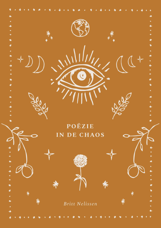 Poezie in de chaos Cover Little Universe - Huiszwaluw